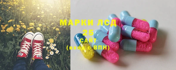 крисы Верхний Тагил