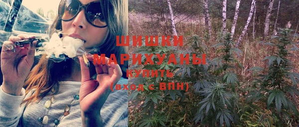 крисы Верхний Тагил
