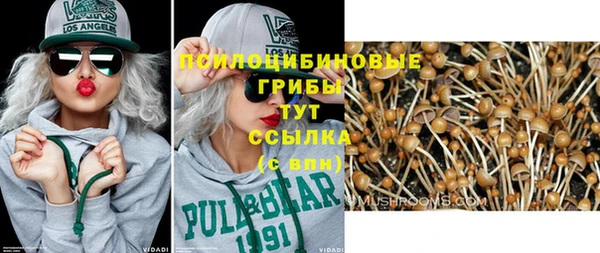 крисы Верхний Тагил