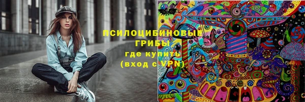 крисы Верхний Тагил