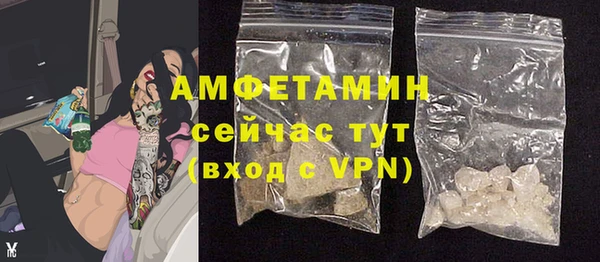 крисы Верхний Тагил