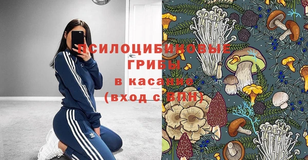 крисы Верхний Тагил