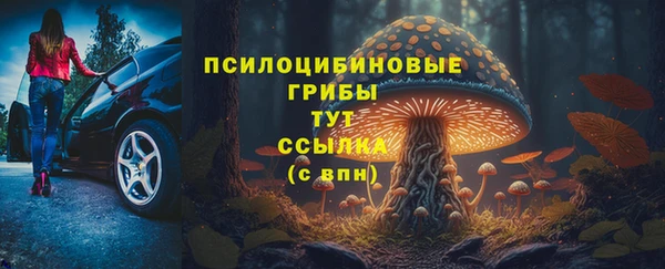 крисы Верхний Тагил