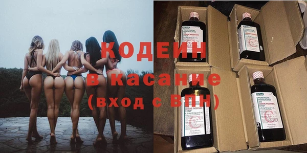 крисы Верхний Тагил