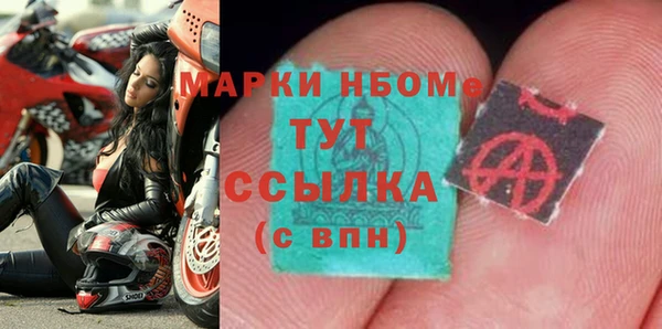 крисы Верхний Тагил